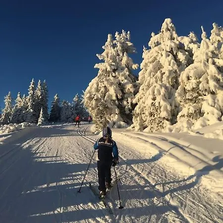Modern At Nordseter/sjusjoen/lillehammer