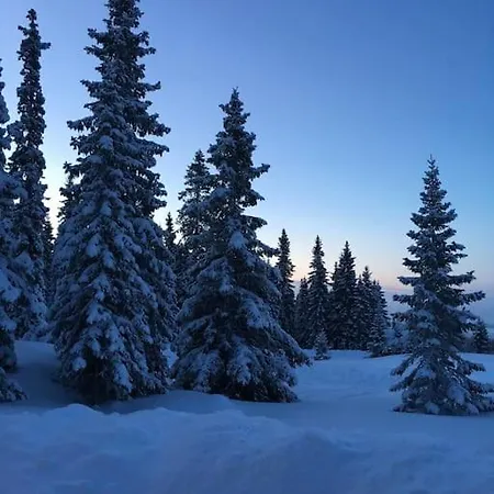 Feriehus Modern At Nordseter/sjusjoen/lillehammer